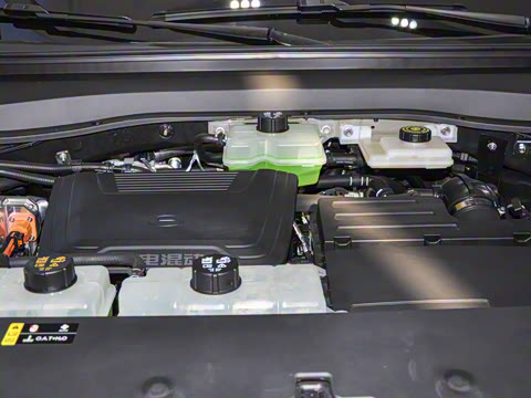 2025�� 205km Max��