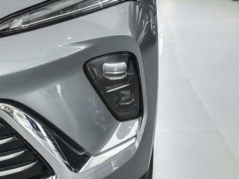 2025�� 25T �׽��