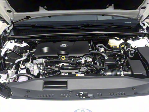 2026�� ˫�� 2.0HXS �˶�Plus��