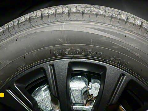 2025�� 520���г��а�