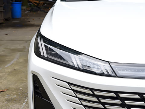 2026�� 1.5L �������� ������