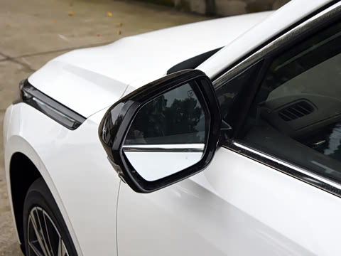 2026�� 1.5L �������� ������