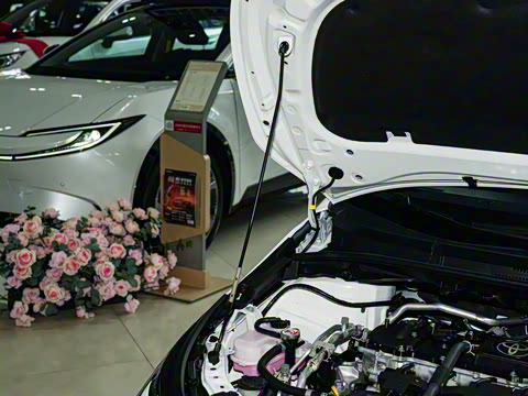 2026�� 1.8L ˫�� �ȷ��