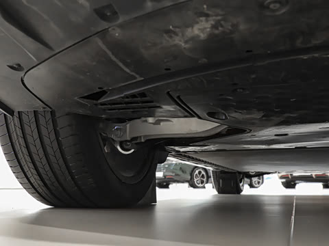 2025�� ������������Pro��