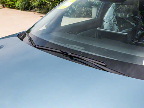 2026�� ��ƽ�� ������������