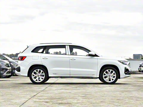 2026�� 280TSI �Զ��ȷ��