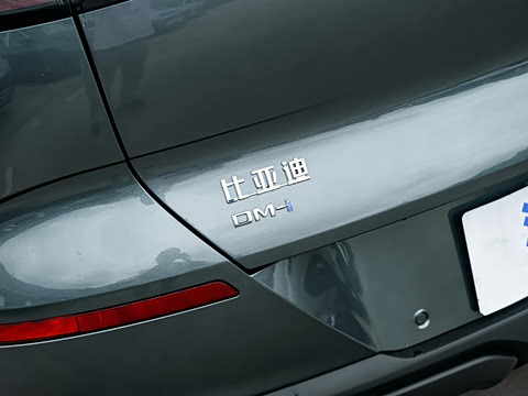 2025�� DM-i 205�캽Pro��