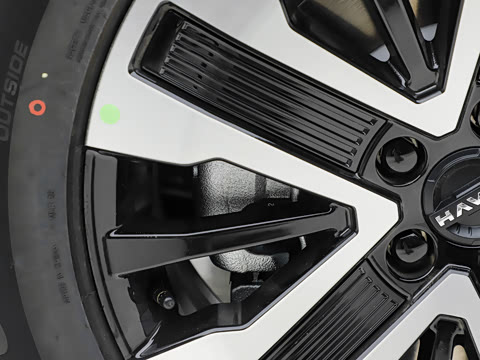 2026�� 255km ������