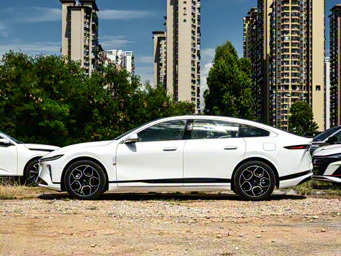 2026�� �����������̰� 310������