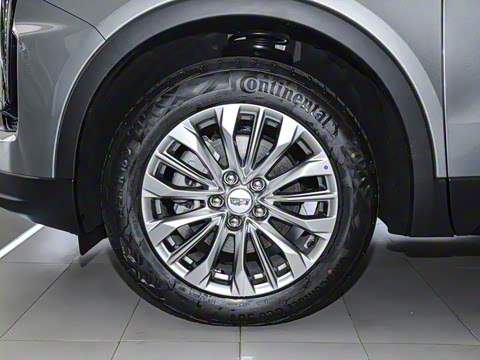 2024�� �Ŀ� 28T ����������