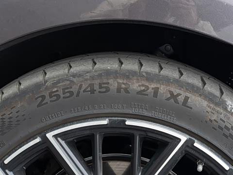 2026��   95������ Max��