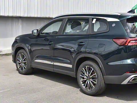 2025�� 290T ��������+