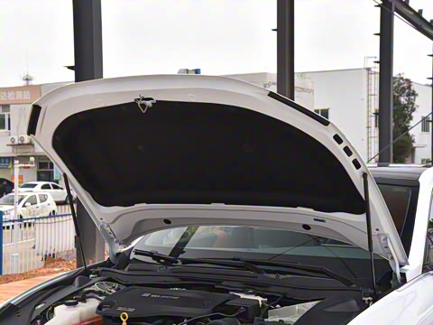 2025�� ������