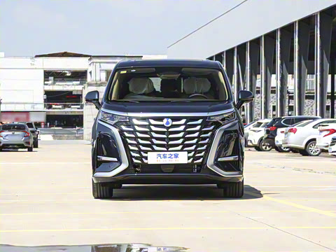 2025�� DM-i ��������