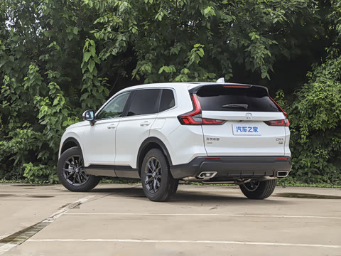 2026�� ȫ��30����ҫ�� 1.5T ��������5����