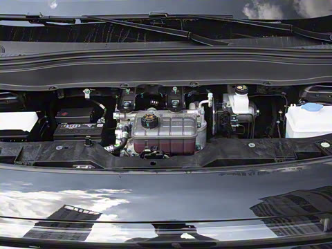 2025�� 600�����״��