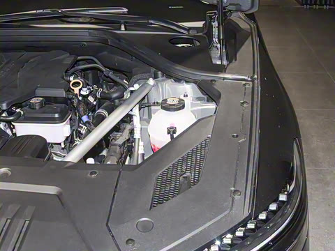 2025�� 2.5T �����콢��