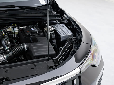 2026�� 1.5L �����