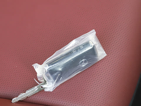 2025�� 2.0L �Զ�������