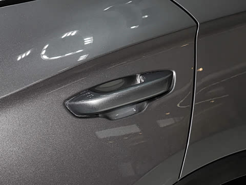 2026�� DM-i 220KM׿Խ��