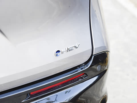 2026�� 2.5L�춯 ������