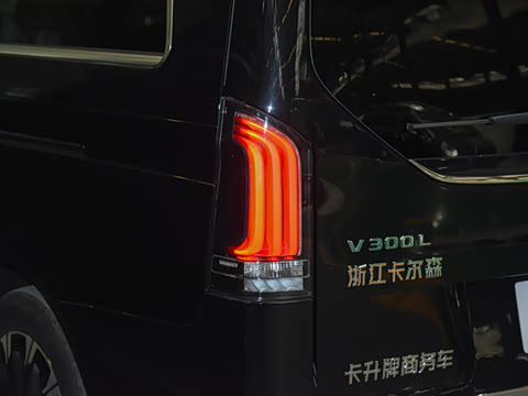 2025�� V300L �ƽ� ��׼��