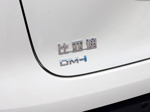 2026�� DM-i 220�캽��