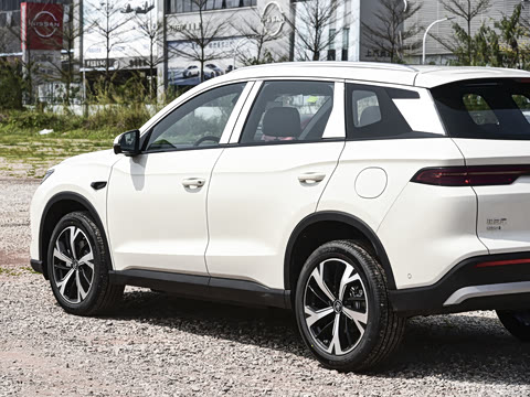 2026�� DM-i 220KM��Խ��