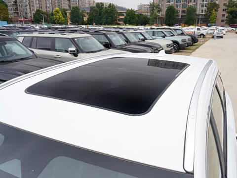 2025�� ������ 5��