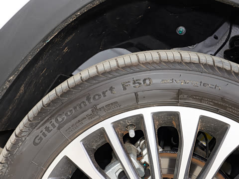 2025�� ������ 5��