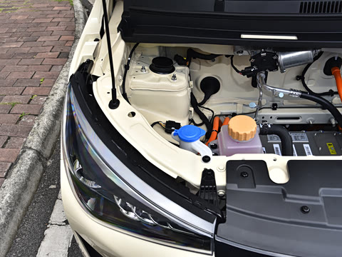 2026�� 310km  max��Ը��