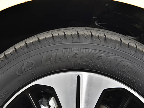 2026�� 310km  max��Ը��