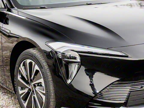 2025�� ������