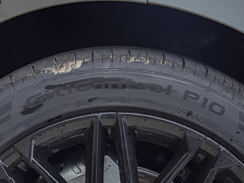 2025�� DM-i �Ǽݰ� 245KM������