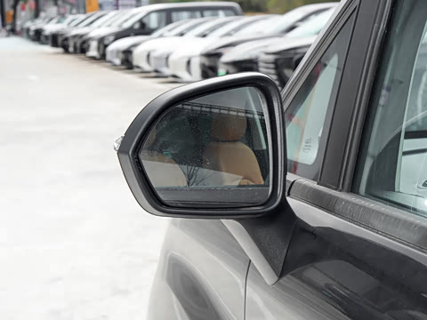 2026�� 2.0L �ֶ���������� 9��