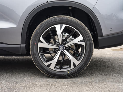 2026�� �ɳ۰� DM-i 220KM��Խ��