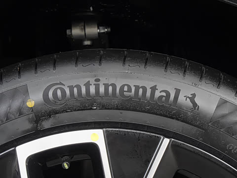 2026�� Max ˫��������