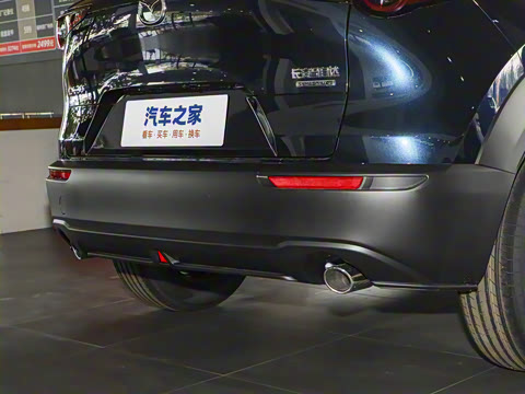 2025�� 2.0L �ֶ�������