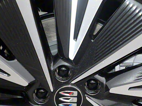 2025�� ������