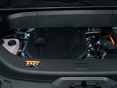 2025�� 230km ����̽����