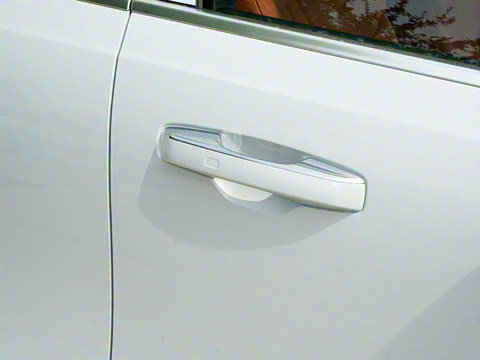 2025�� 230km ����̽����