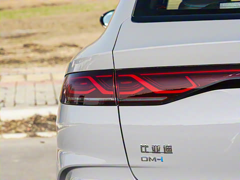 2026�� DM-i 170KM��Խ��