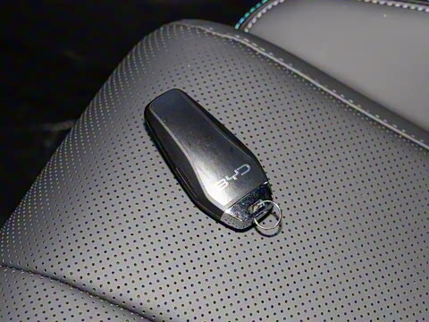 2026�� DM-i 170KM��Խ��