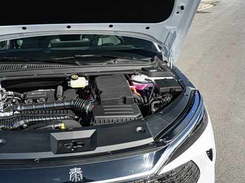 2026�� DM-i 170KM��Խ��