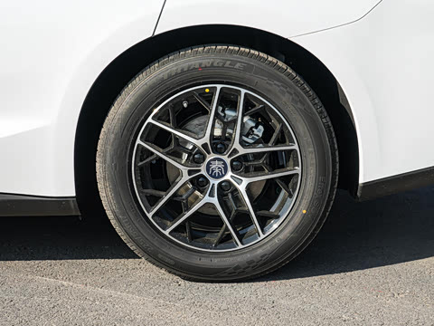 2026�� DM-i 170KM��Խ��