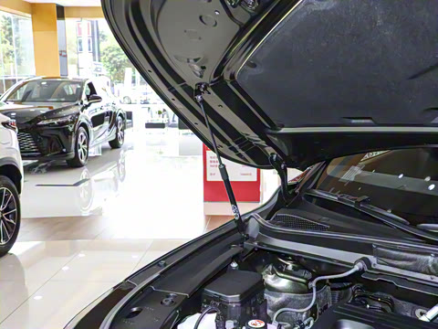 2025�� 350h ����������