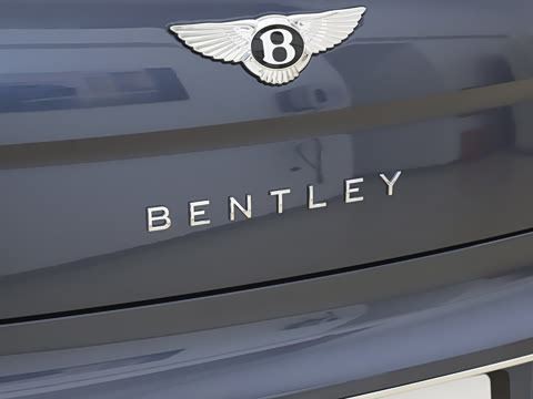 2026�� 4.0T V8 ��׼��