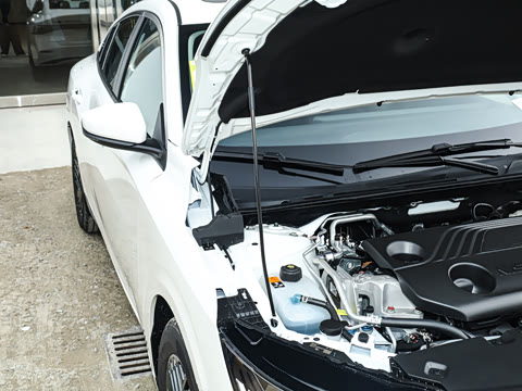 2026�� 1.6L CVT �Ƽ���