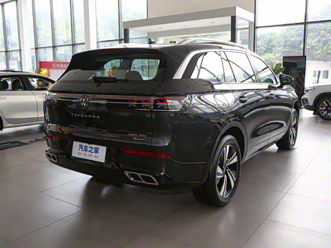 2025�� 380TSI ����R-LineѲ�� ������