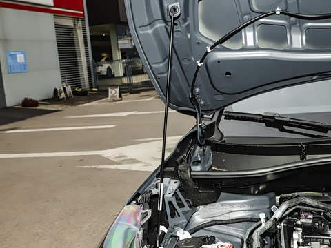 2026�� 2.0L CVT����PLUS��